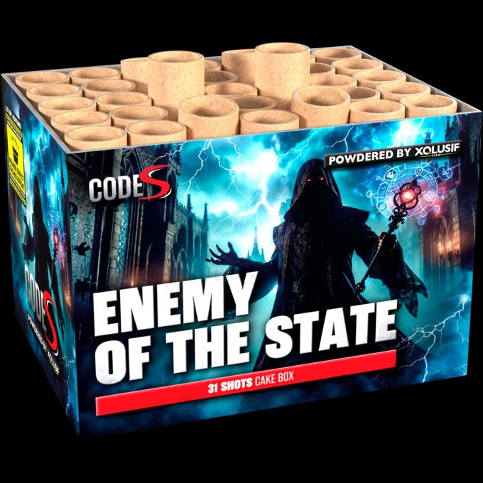 Enemy of State